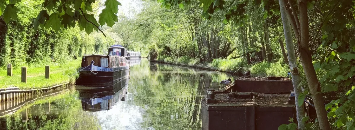 canal-boat-for-sale Scenic canal surrounded by lush greenery and moored boats.